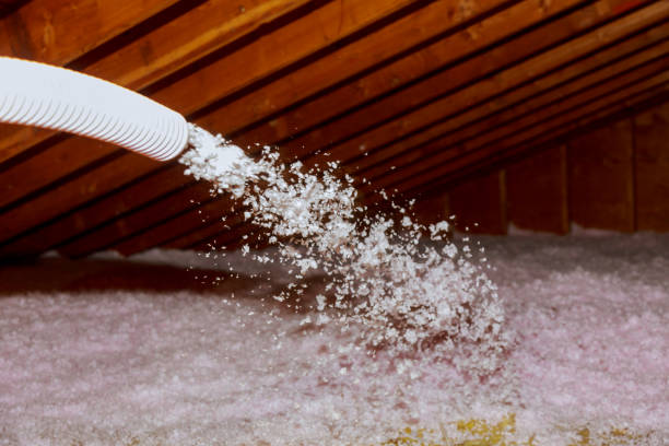 Best Residential Insulation in East Prairie, MO