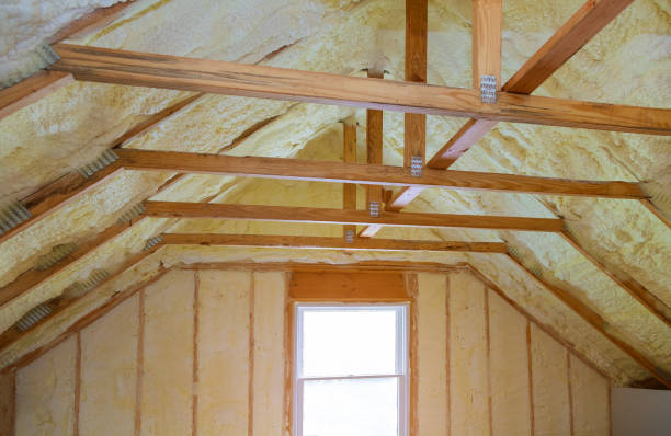 Best Geographic-Specific Insulation Services in East Prairie, MO