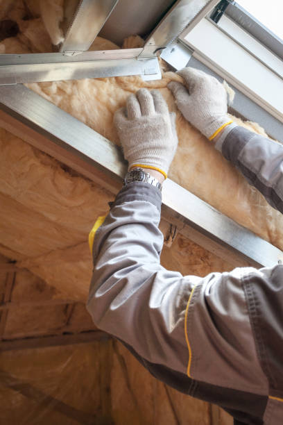 Best Energy Efficiency Insulation in East Prairie, MO