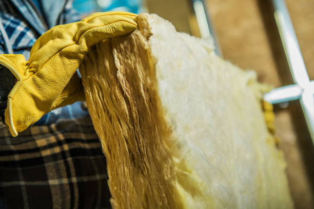 Best Spray Foam Insulation in East Prairie, MO